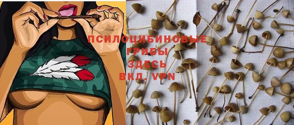 гидропоника Армянск