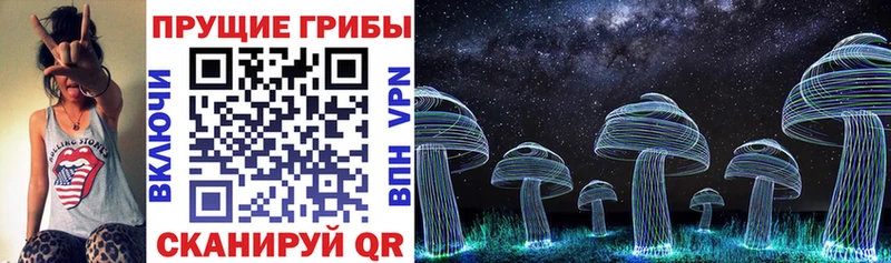 Псилоцибиновые грибы Cubensis  Купить  Старица 