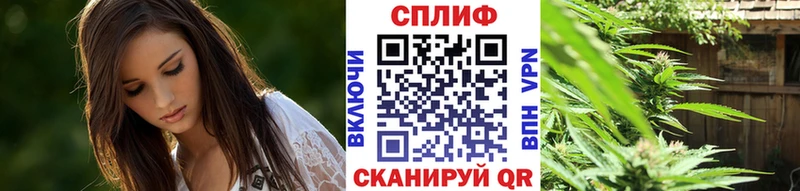 Купить  Старица  Каннабис сатива 